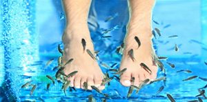 Knabbelvisjes in de fish spa